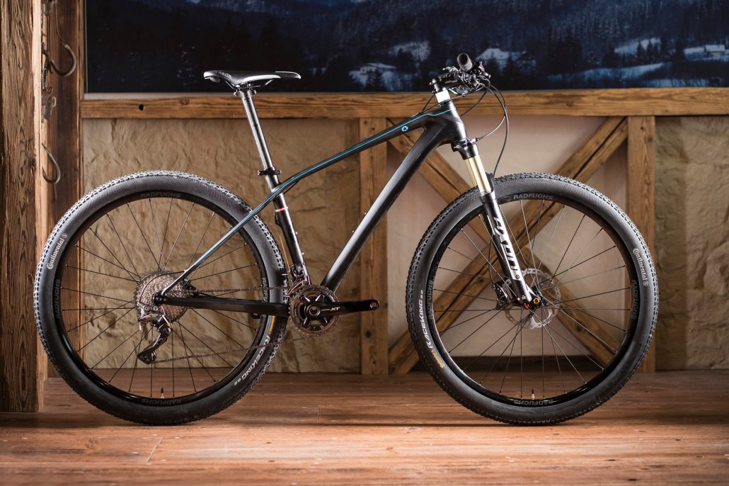 Custom Bike 1