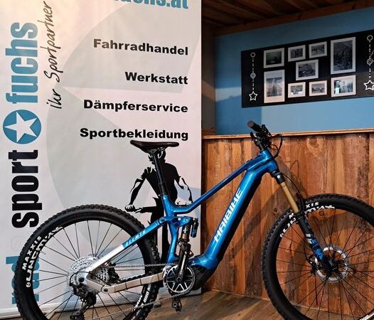 Haibike AllMtn10